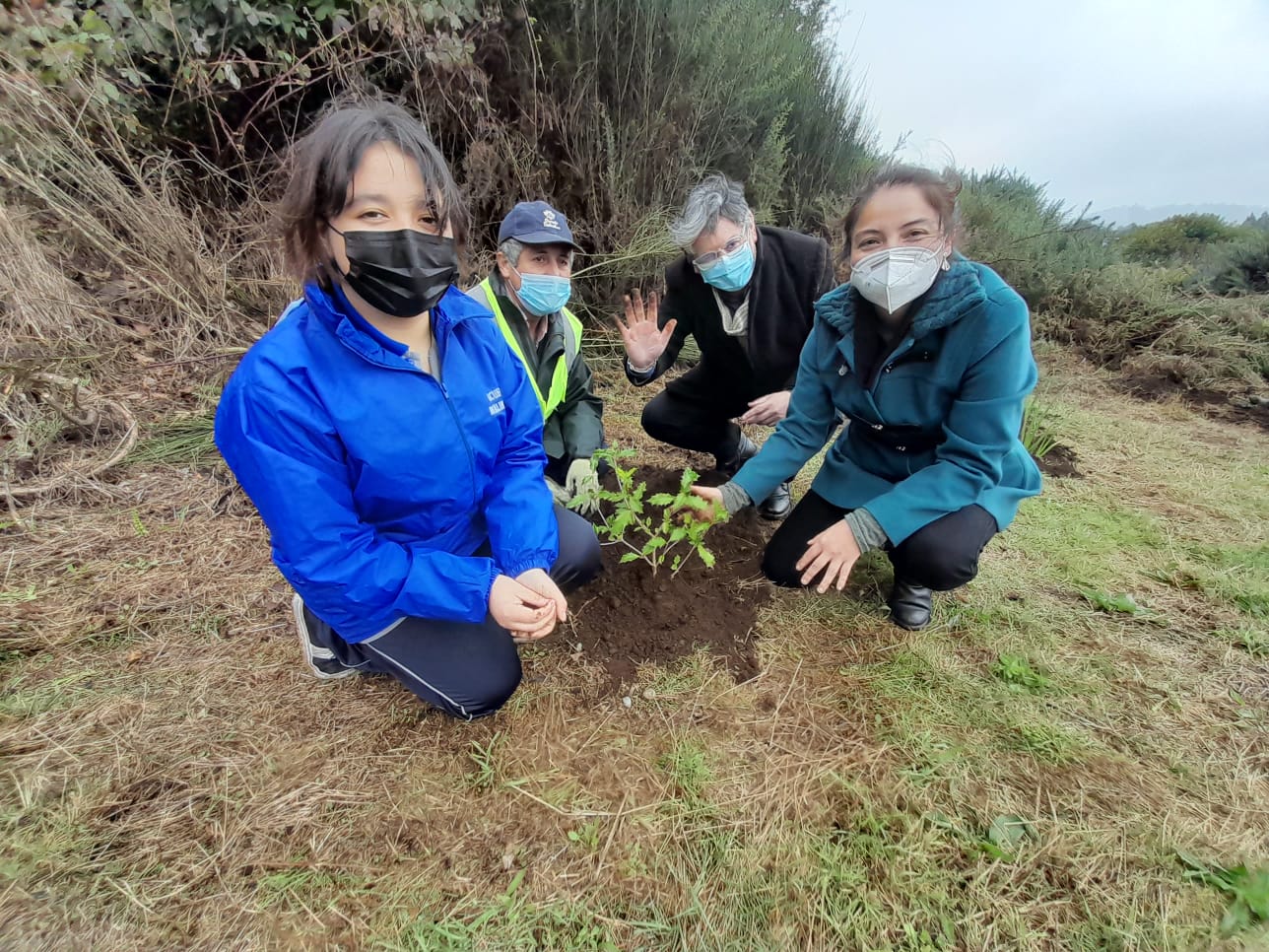 Lee más sobre el artículo Comienza la recuperación de sitio histórico de Batalla de Mocopulli.