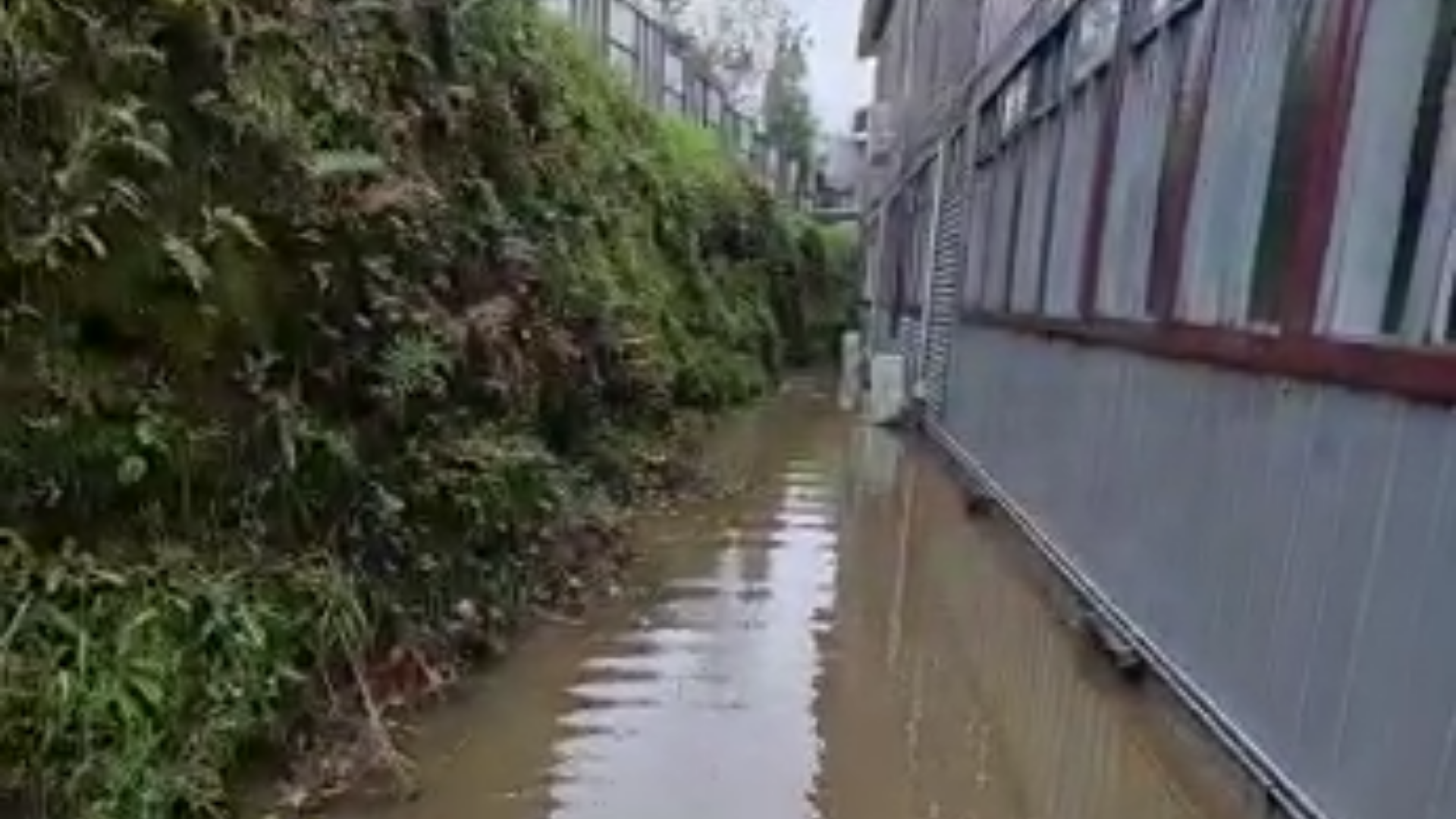 Lee más sobre el artículo POSIBLE INTERVENCIÓN DEL CAUCE DE UN RÍO HABRÍA PROVOCADO LA INUNDACIÓN DE COLEGIO PARTICULAR SUBVENCIONADO GABRIELA MISTRAL DE QUELLÓN
