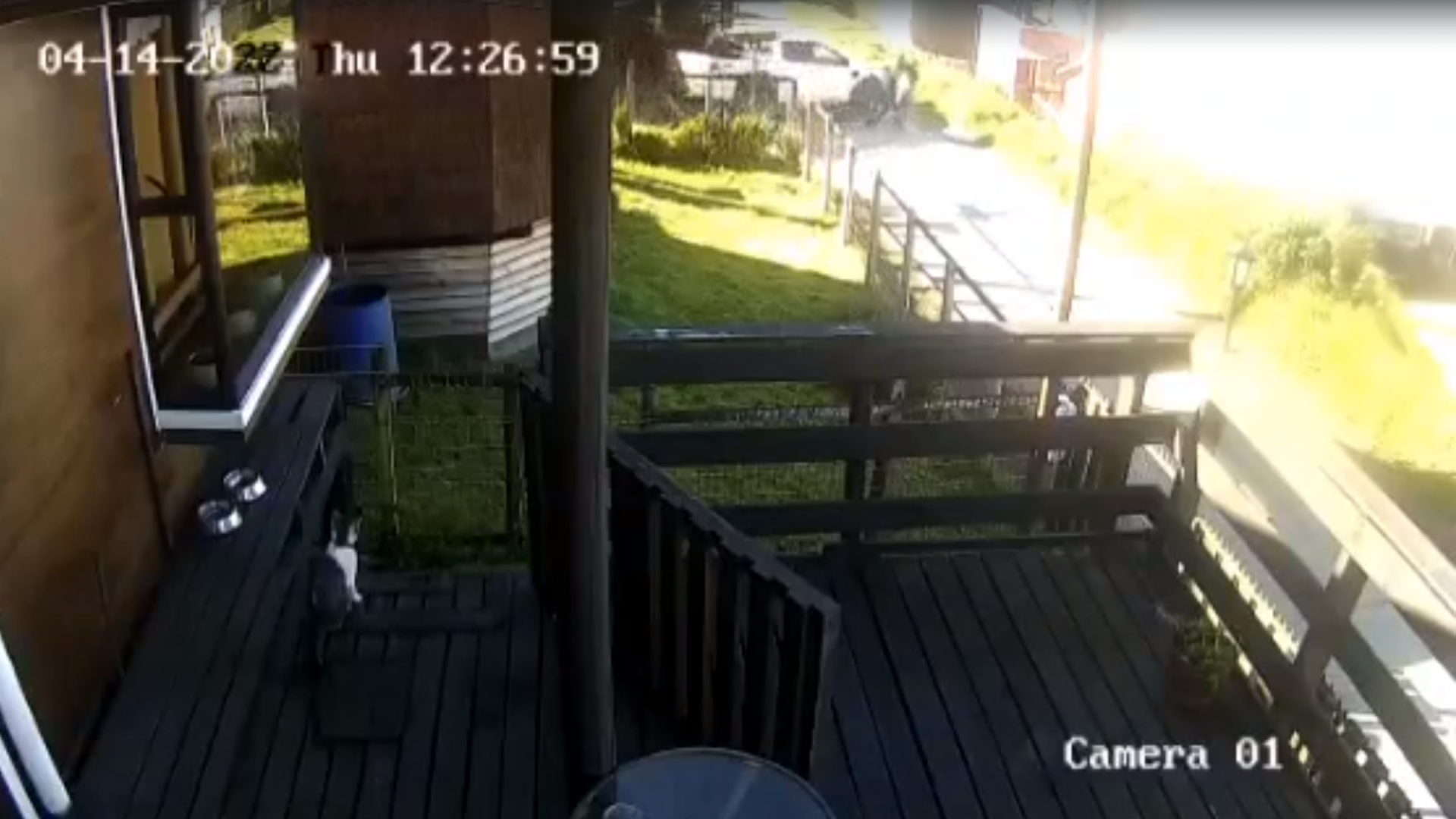 Lee más sobre el artículo [VIDEO] DOS PERSONAS SE SALVAN PROVIDENCIALMENTE DE SER ATROPELLADAS POR CAMIONETA EN QUELLÓN