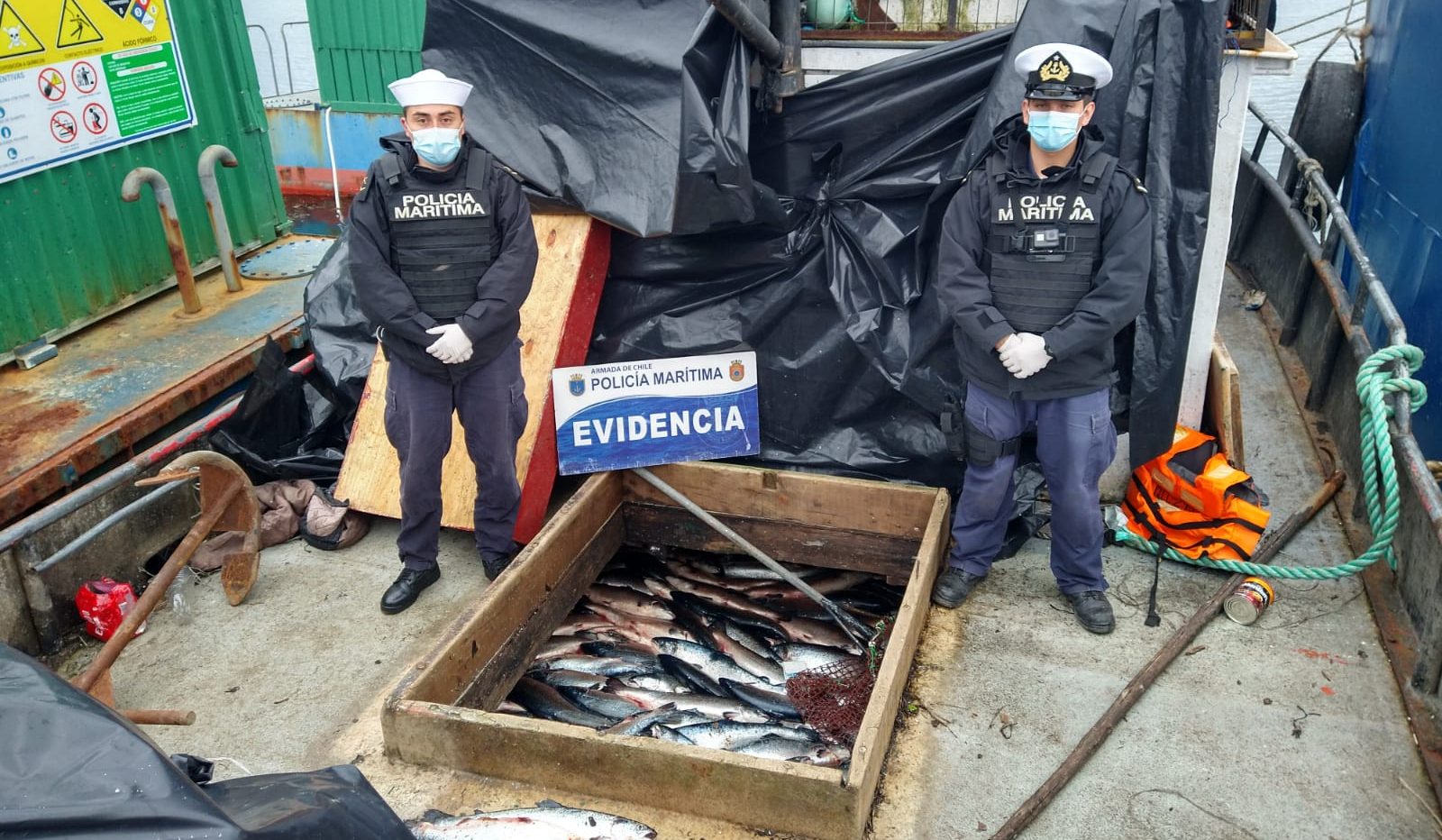 Lee más sobre el artículo POLICÍA MARÍTIMA INCAUTA CARCA DE 13 MIL KILOS DE SALMÓN ROBADO￼