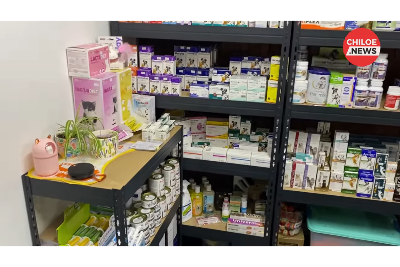 Lee más sobre el artículo VETERINARIA CASTREÑA IMPLEMENTA TRATAMIENTOS CON FEROMONAS, AROMATERAPIA Y LIBRE DE MIEDO PARA LAS MASCOTAS