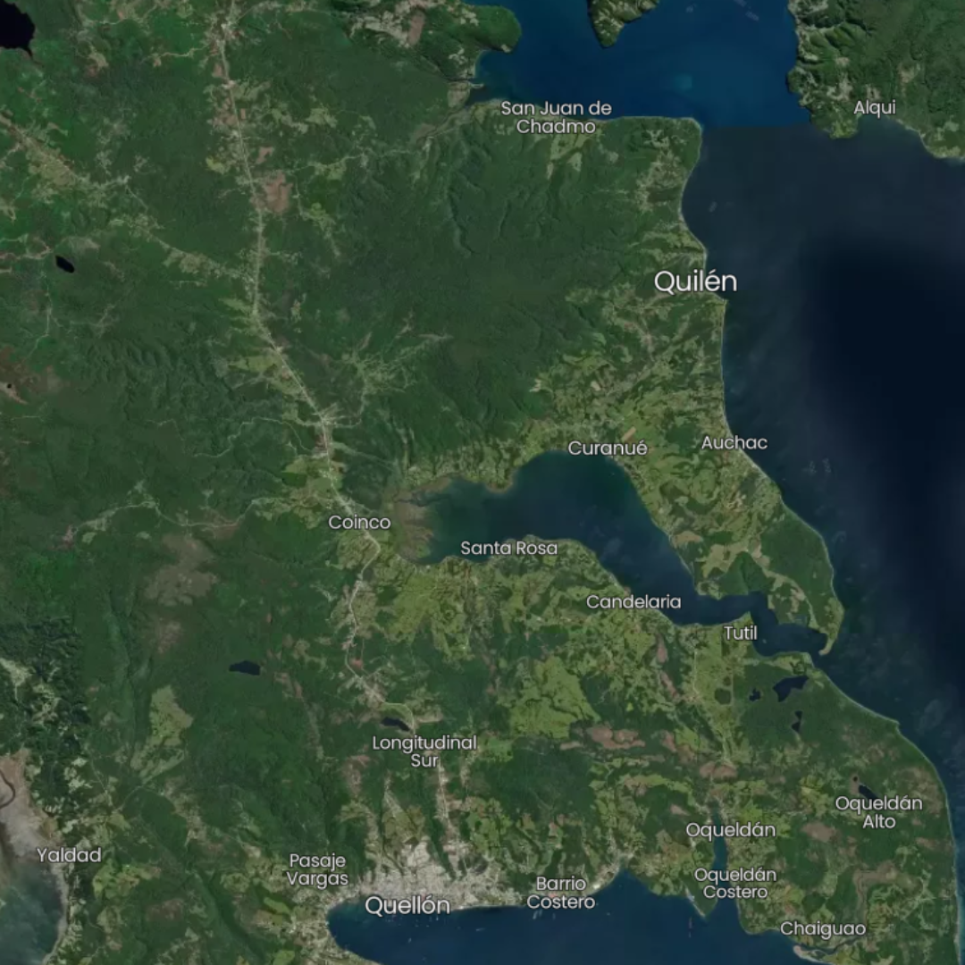 Lee más sobre el artículo Una mujer fallecida deja incendio en sector rural de Quilén