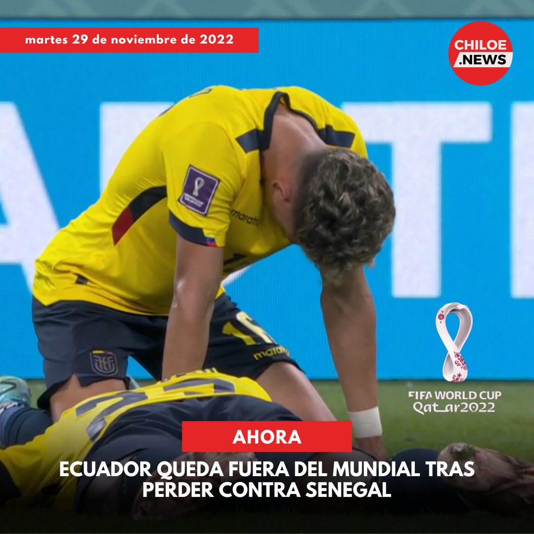 Lee más sobre el artículo Ecuador no fue capaz de sumar un punto ante Senegal y la derrota por 2-1 le costó la eliminación del torneo al que llegaron con mucha polémica por el caso de Byron Castillo.