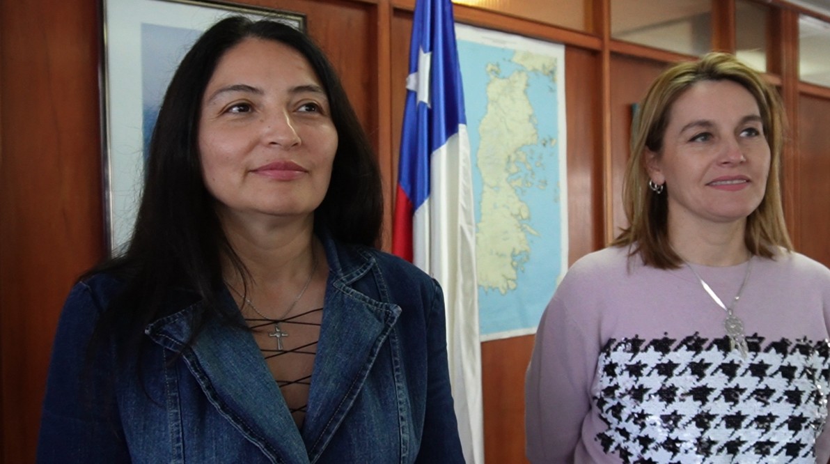 Lee más sobre el artículo Crean Mesa de Seguridad para la Convivencia Escolar, para enfrentar la violencia al interior de los colegios de Chiloé.