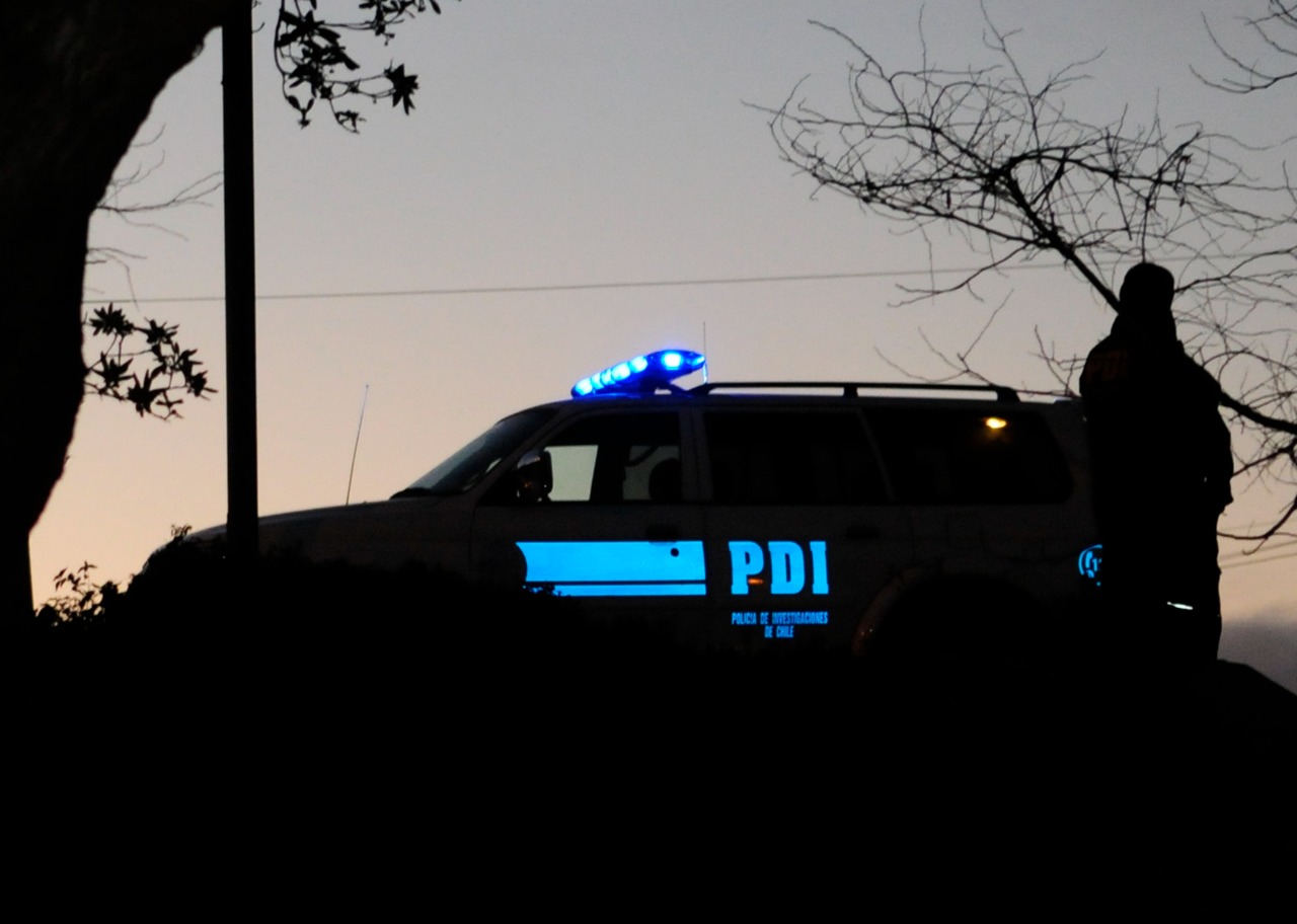 Lee más sobre el artículo Delincuentes vendían carros de arrastre robados a través de Redes Sociales: Fueron detenidos por la PDI