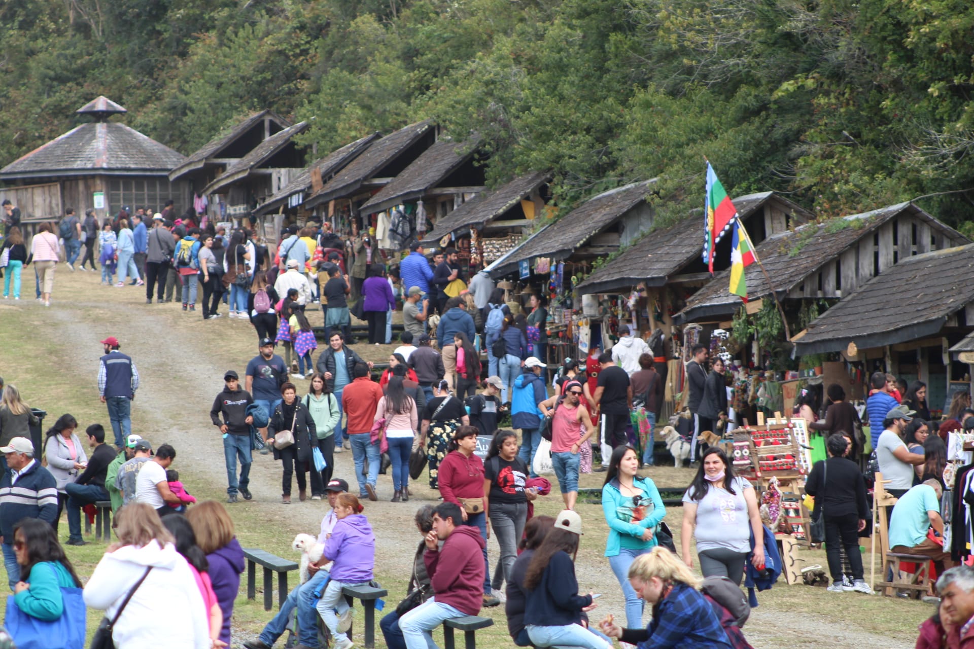 Lee más sobre el artículo Alcalde Vera señala cifra superior de asistentes que Festival de Viña para Feria de la Biodiversidad y Festival Costumbrista de Castro.