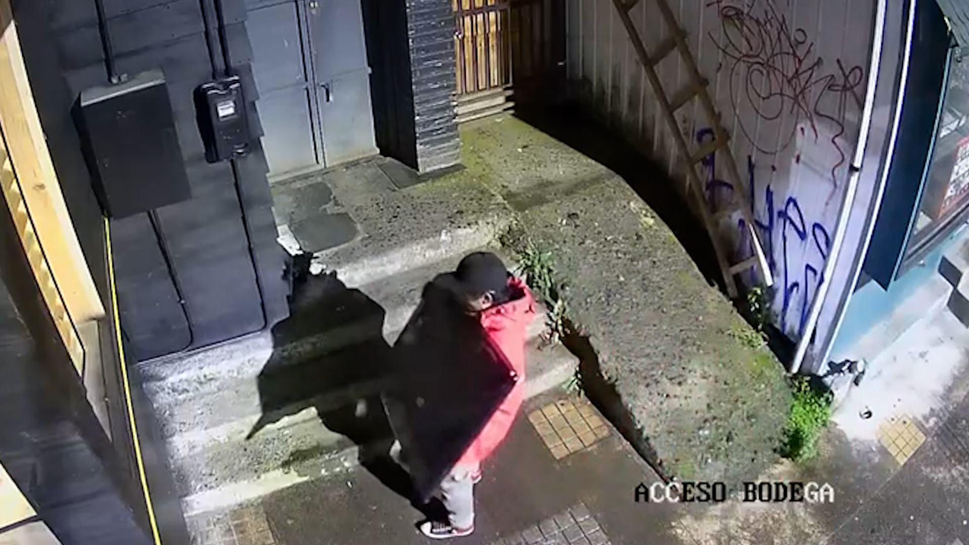 Lee más sobre el artículo Cachipún quien roba: Cámara de seguridad logra captar el momento exacto en que 2 sujetos sustraen televisor desde casa habitación en pleno centro de Castro.