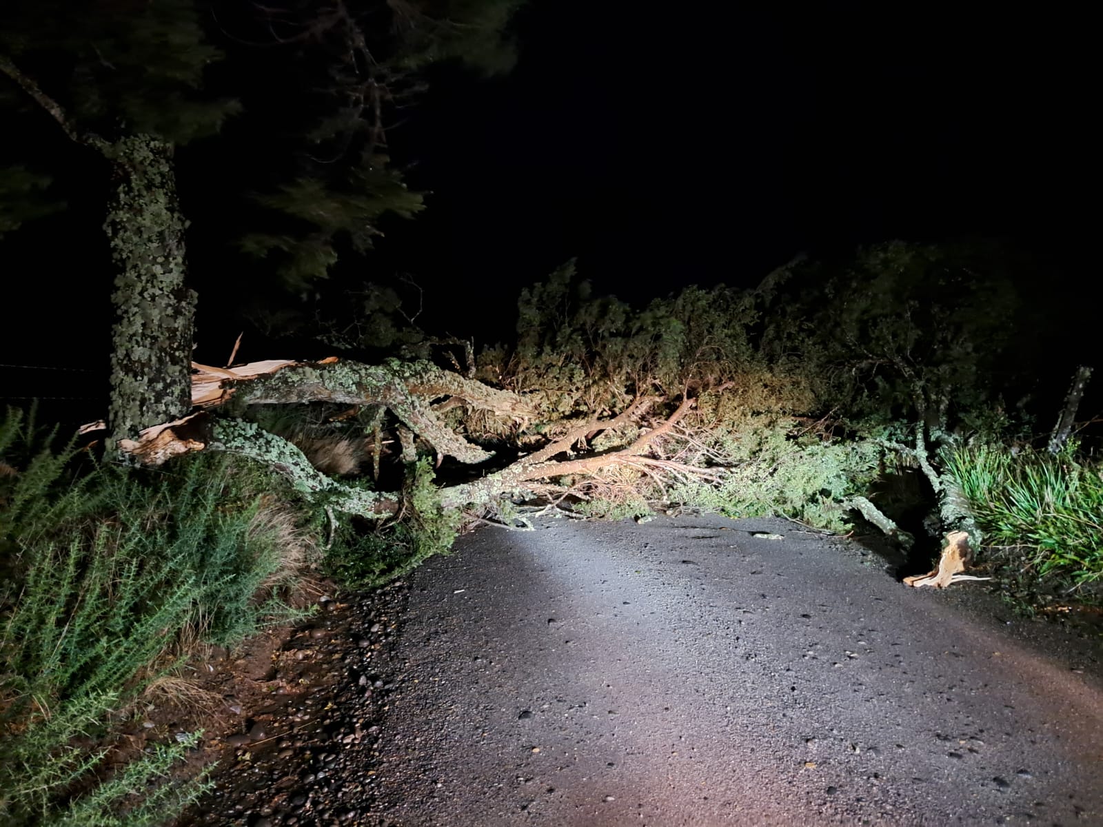 Lee más sobre el artículo #Video: Impactantes imágenes del desastroso saldo del sistema frontal que afectó esta tarde a la provincia de Chiloé.