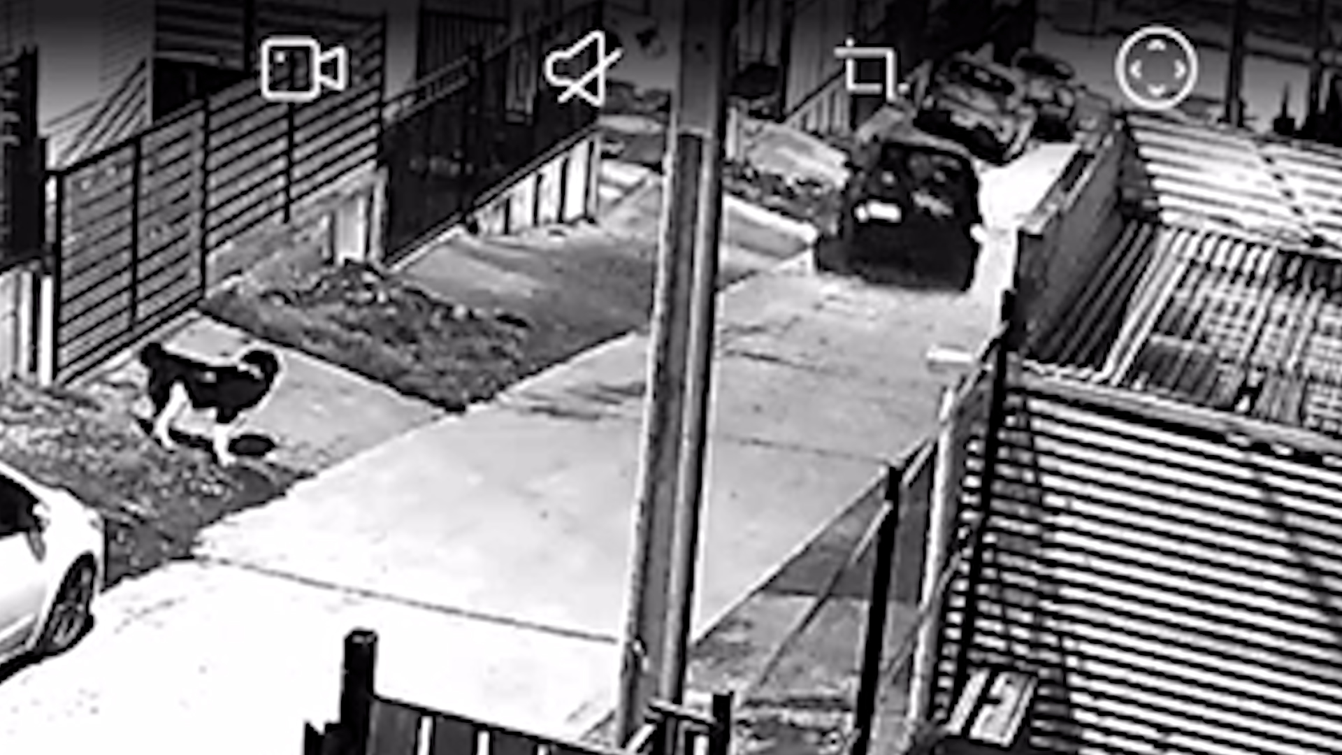 Lee más sobre el artículo Choferes ebrios protagonizan accidentes en Castro