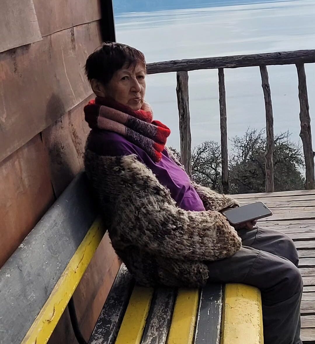 Lee más sobre el artículo A los 78 años fallece la destacada comunicadora Sara Curumilla Sotomayor