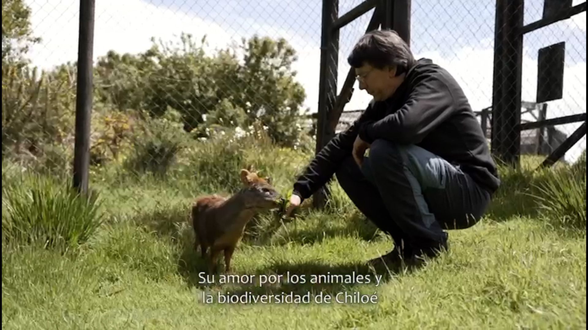 Lee más sobre el artículo Javier Cabello de @chiloesilvestre flamante ganador del premio nacional Nuevos Héroes 2023, conversó esta mañana con ChiloeNews