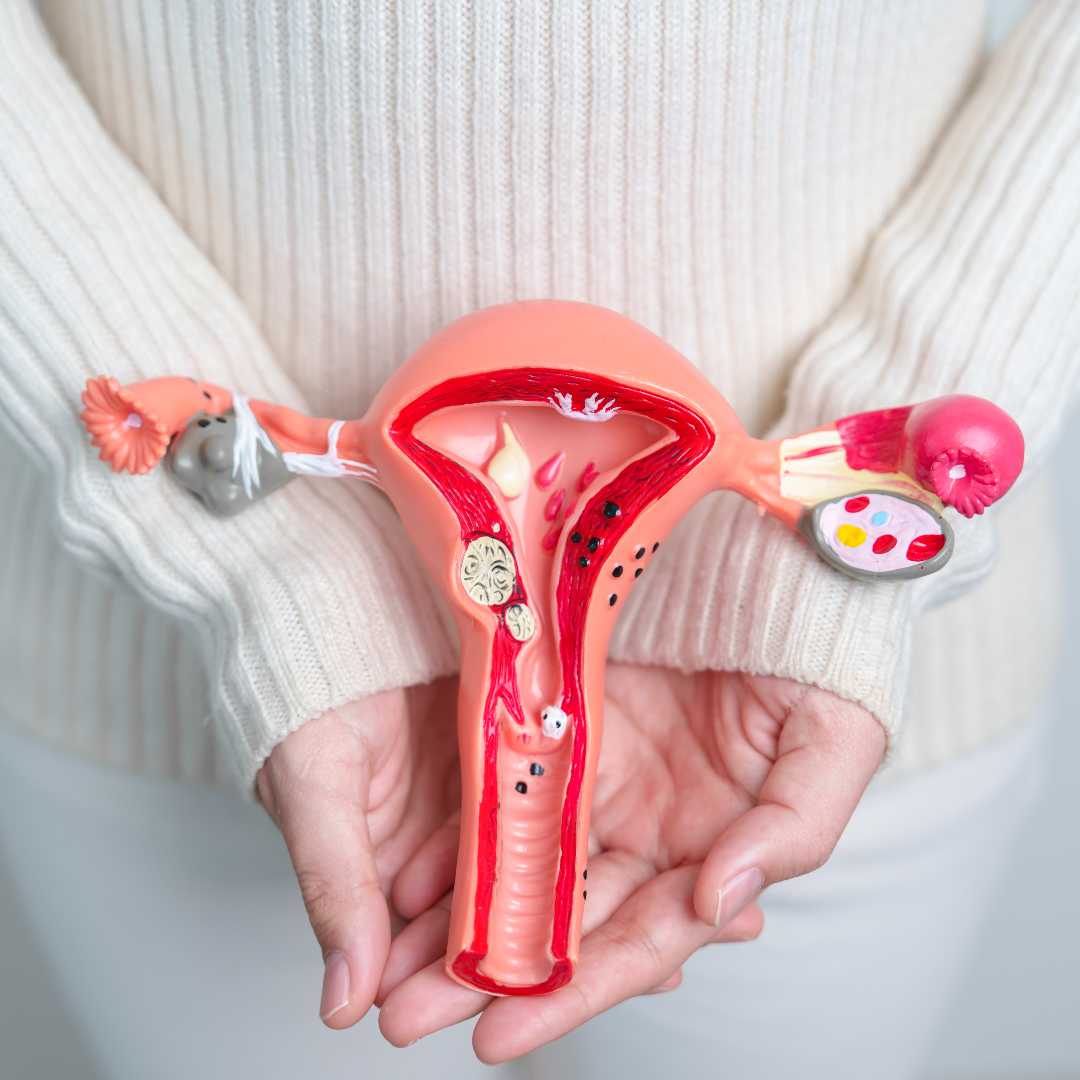 Lee más sobre el artículo 144 mujeres fallecieron a causa del cáncer cervicouterino en la Región de Los Lagos en los últimos 5 años