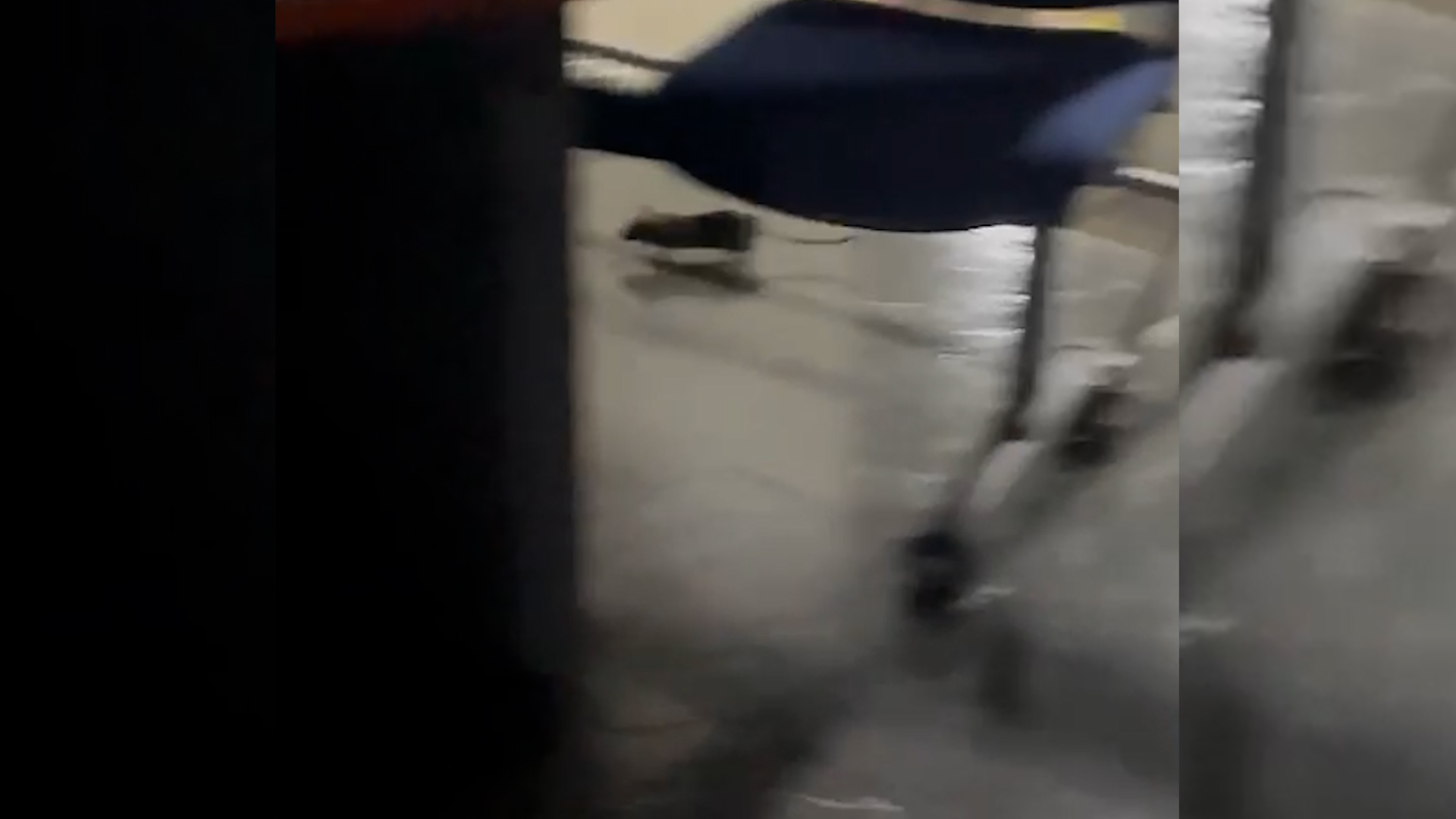 Lee más sobre el artículo Viralizan video de una rata paseando por pasillo de Hospital de Castro: Administración descarta existencia de una plaga