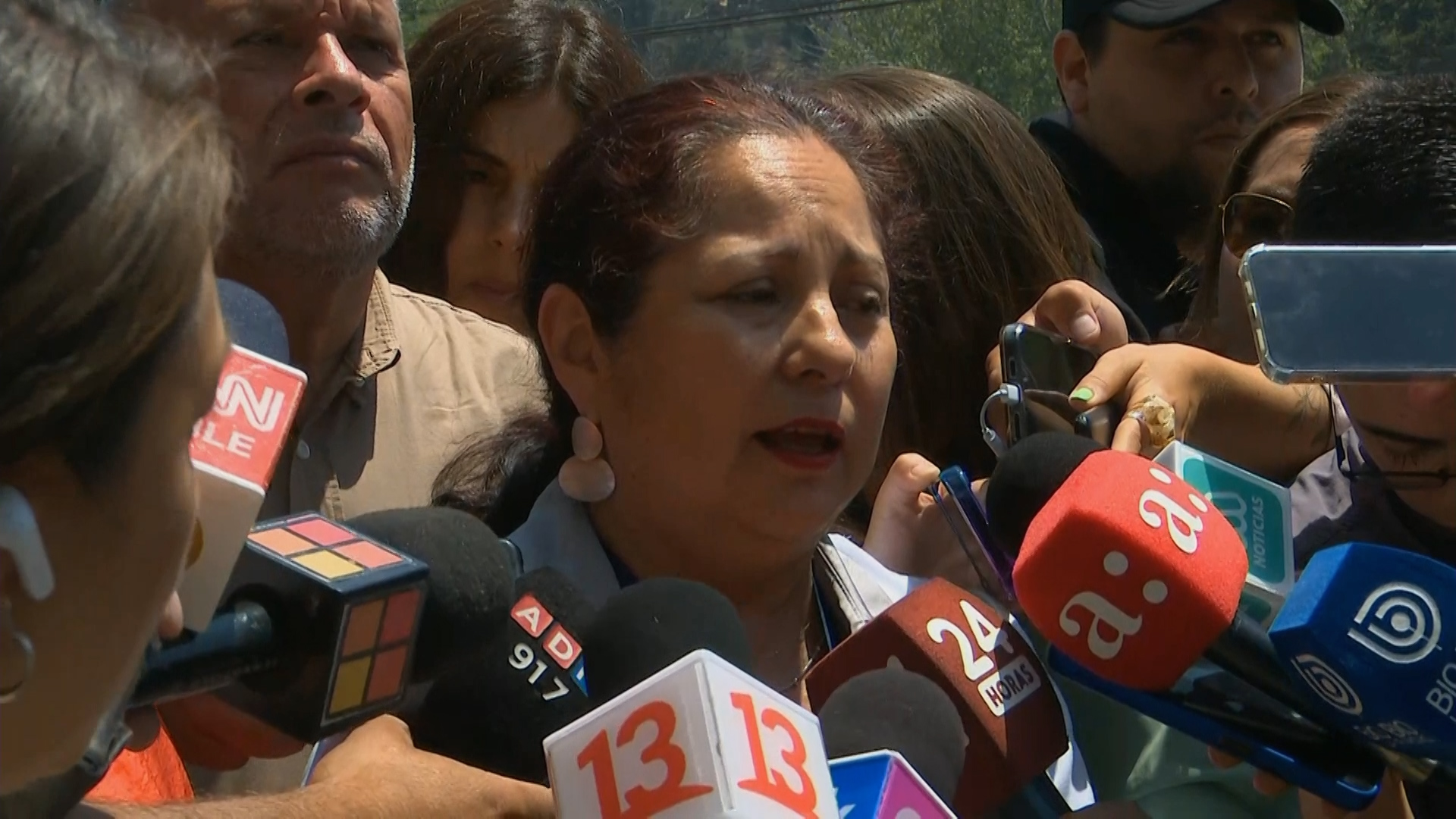 Lee más sobre el artículo SML confirma la muerte de 122 personas por  el incendio en región de Valparaíso