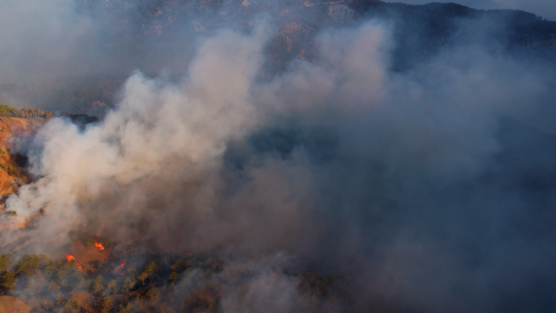 Lee más sobre el artículo 274 incendios forestales en la región de Los Lagos esta temporada