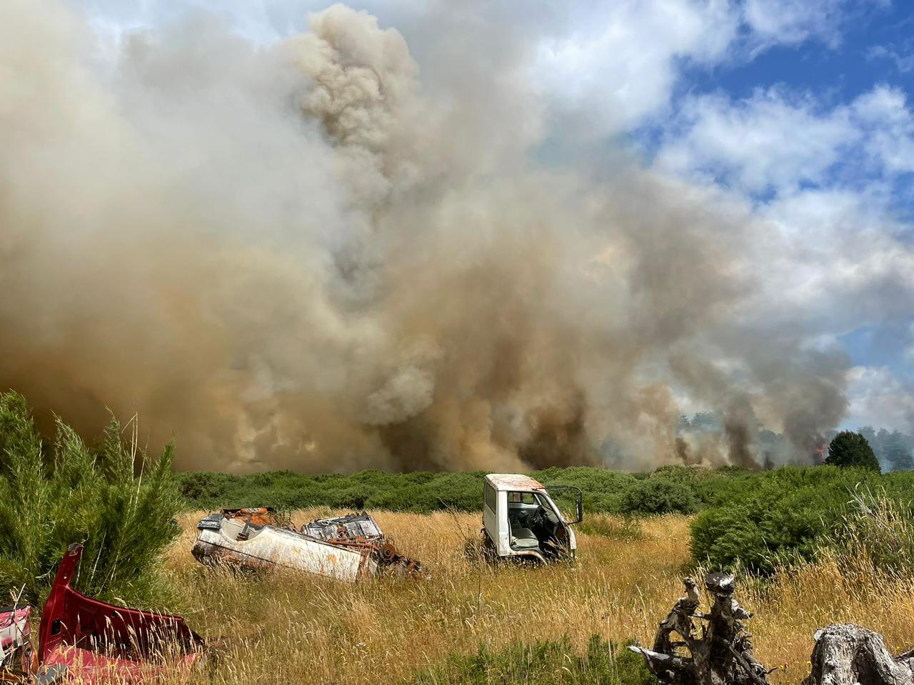 Lee más sobre el artículo 106 incendios forestales en la provincia en lo que va de temporada: 94,7 hectáreas consumidas