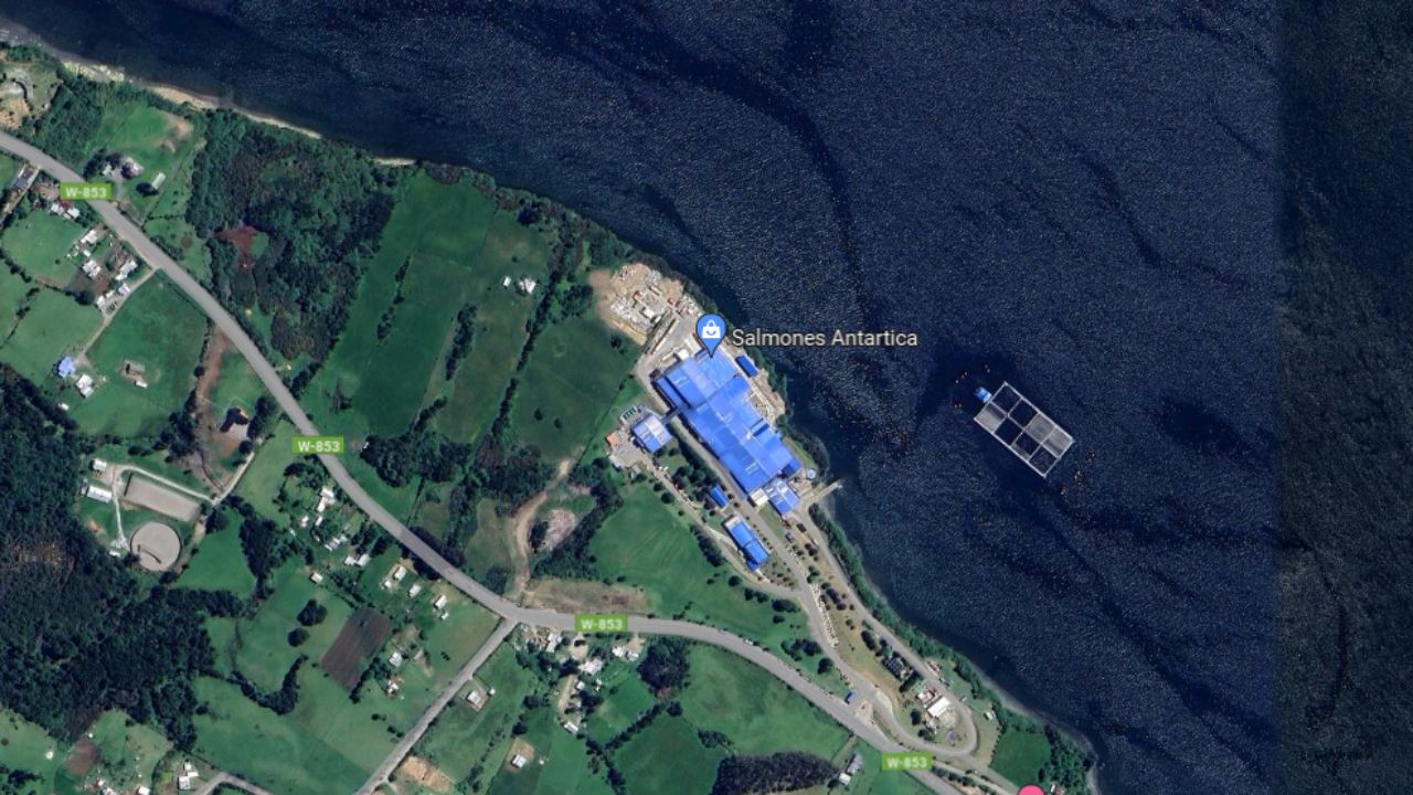 Lee más sobre el artículo Trabajador falleció luego de sufrir una caída desde una altura considerable en una instalación de procesamiento de salmón ubicada en Chonchi