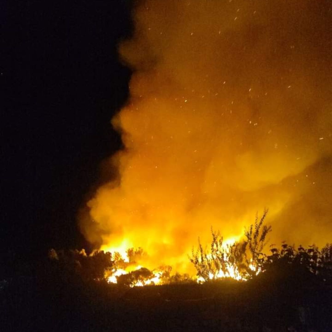 Lee más sobre el artículo Preocupación por incendios forestales en Chiloé: Queilen en Alerta Amarilla y Dalcahue en Alerta Roja