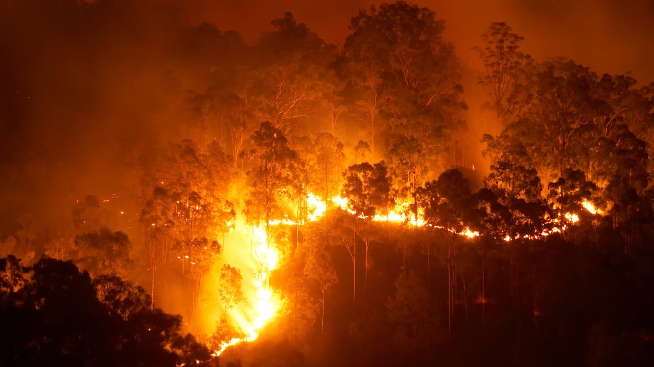 Lee más sobre el artículo SML confirma la muerte de 40 personas en incendios de región de Valparaíso: Presidente Boric entregó mensaje desde el Palacio de La Moneda
