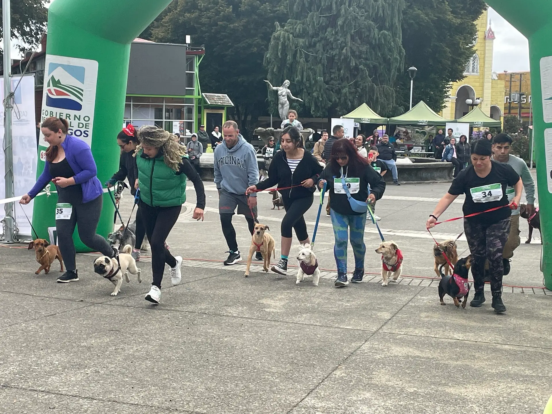 Lee más sobre el artículo Segunda edición de «Perruning», uniendo deporte y tenencia responsable en una corrida familiar única