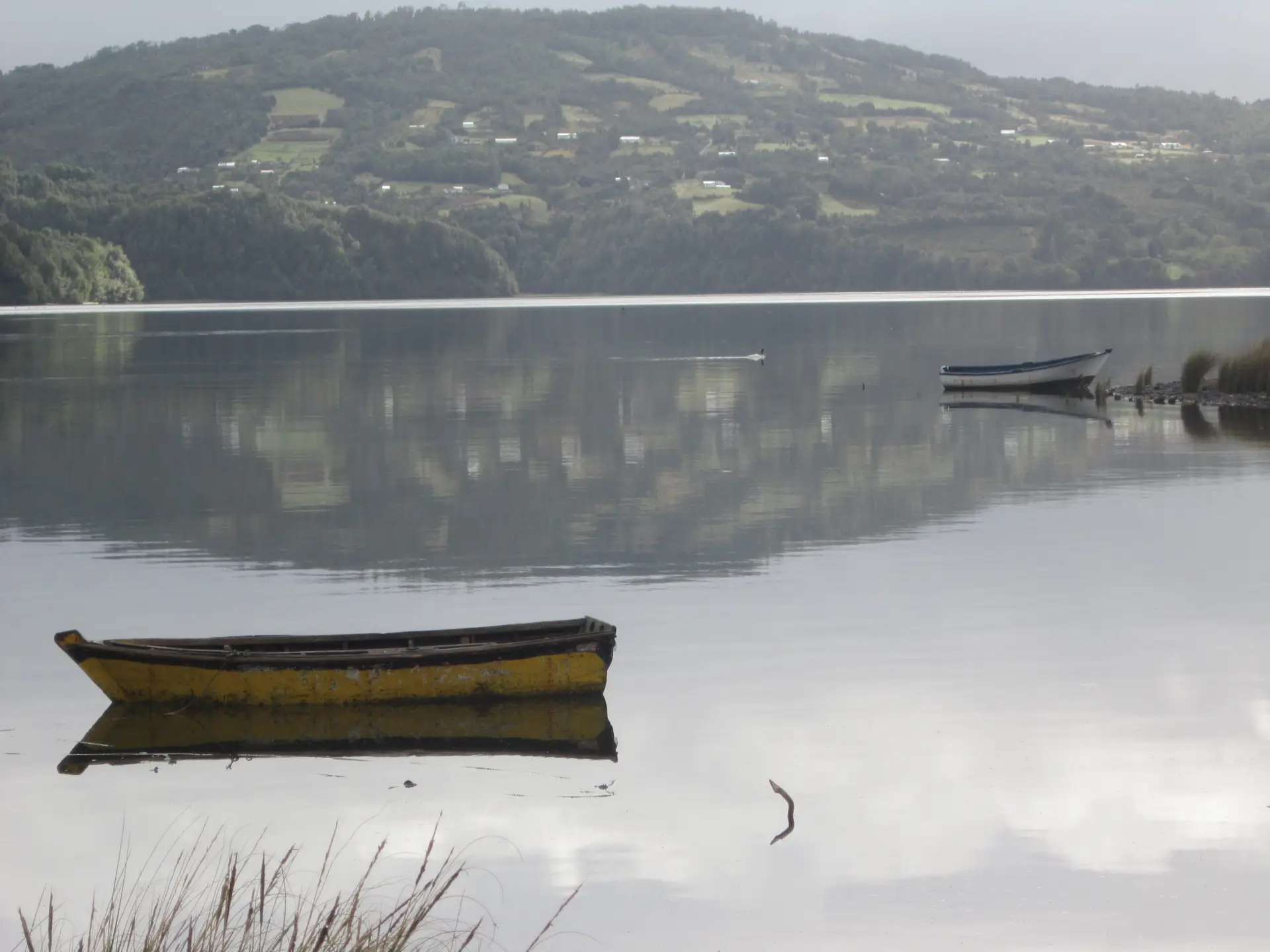 Lee más sobre el artículo Suspensión temporal de investigación por intento de incendio en Compu, Quellón a la espera de informe del SML