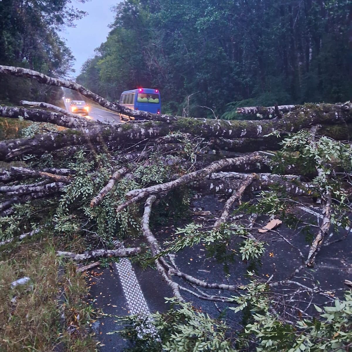 Lee más sobre el artículo Realizan primer balance de afectaciones por sistema frontal que afecta a Chiloé este martes 02 de abril