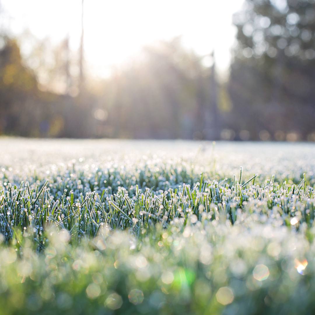 Lee más sobre el artículo SENAPRED actualiza Alerta Temprana Preventiva por heladas intensas