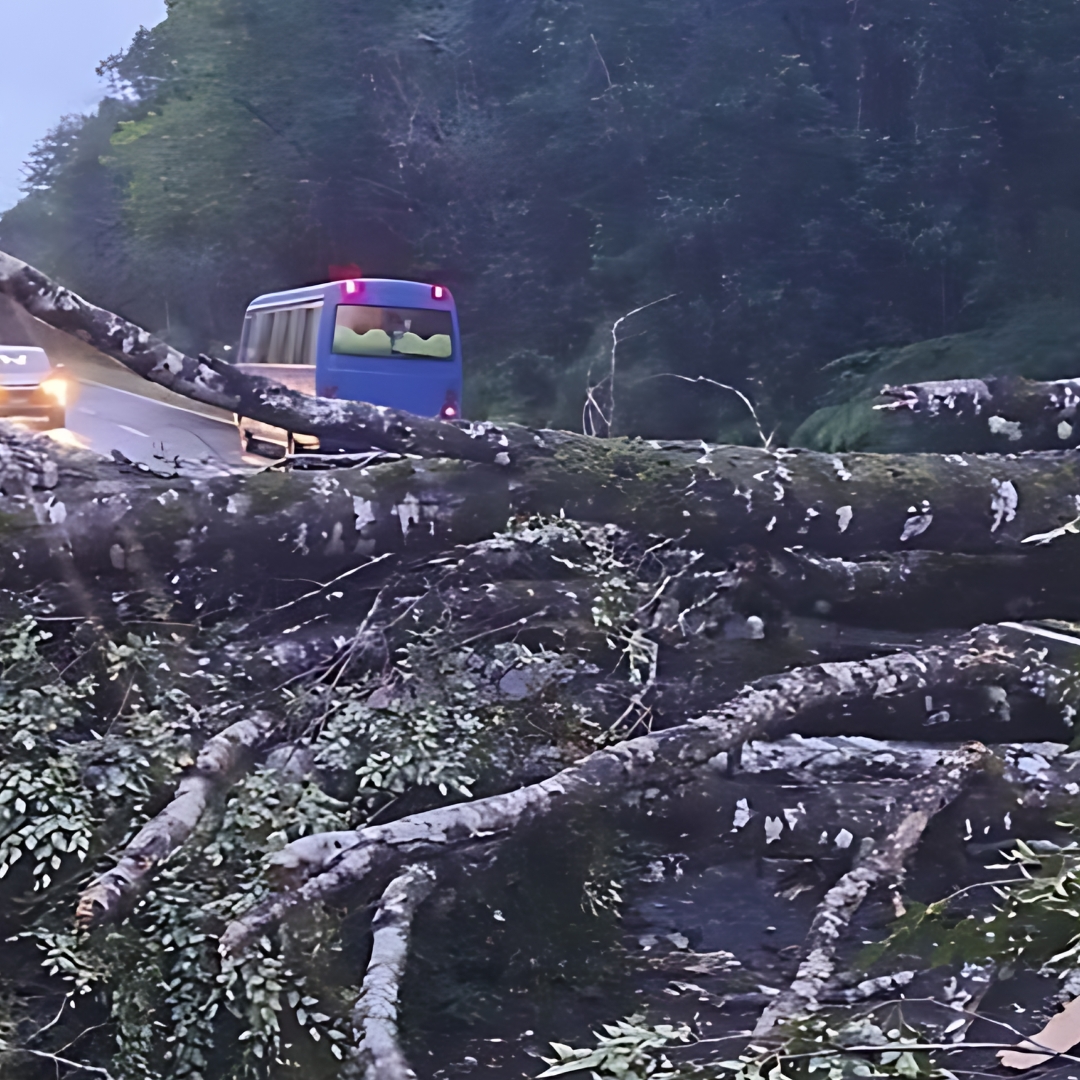 Lee más sobre el artículo Toda la información del sistema frontal que afecta Chiloé con vientos de 110 km/h