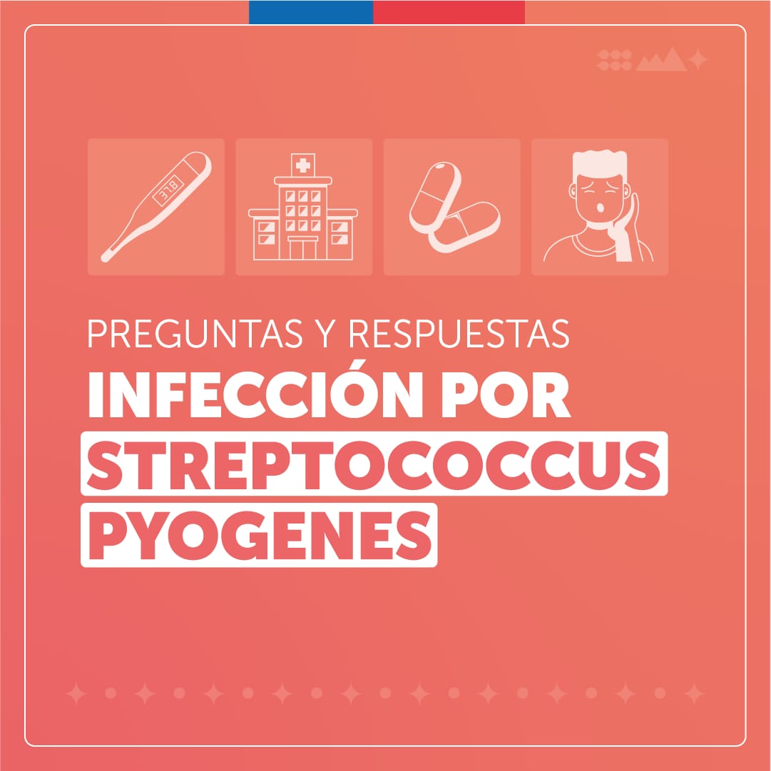 Lee más sobre el artículo Streptococcus Pyogenes: conozca más sobre esta bacteria infecciosa