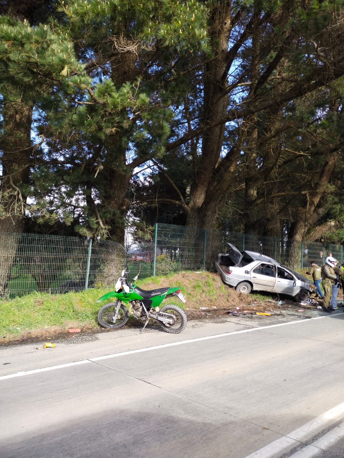 Lee más sobre el artículo Persecución policial en Ancud tras robo de ternero termina con dos jóvenes bajo medidas cautelares