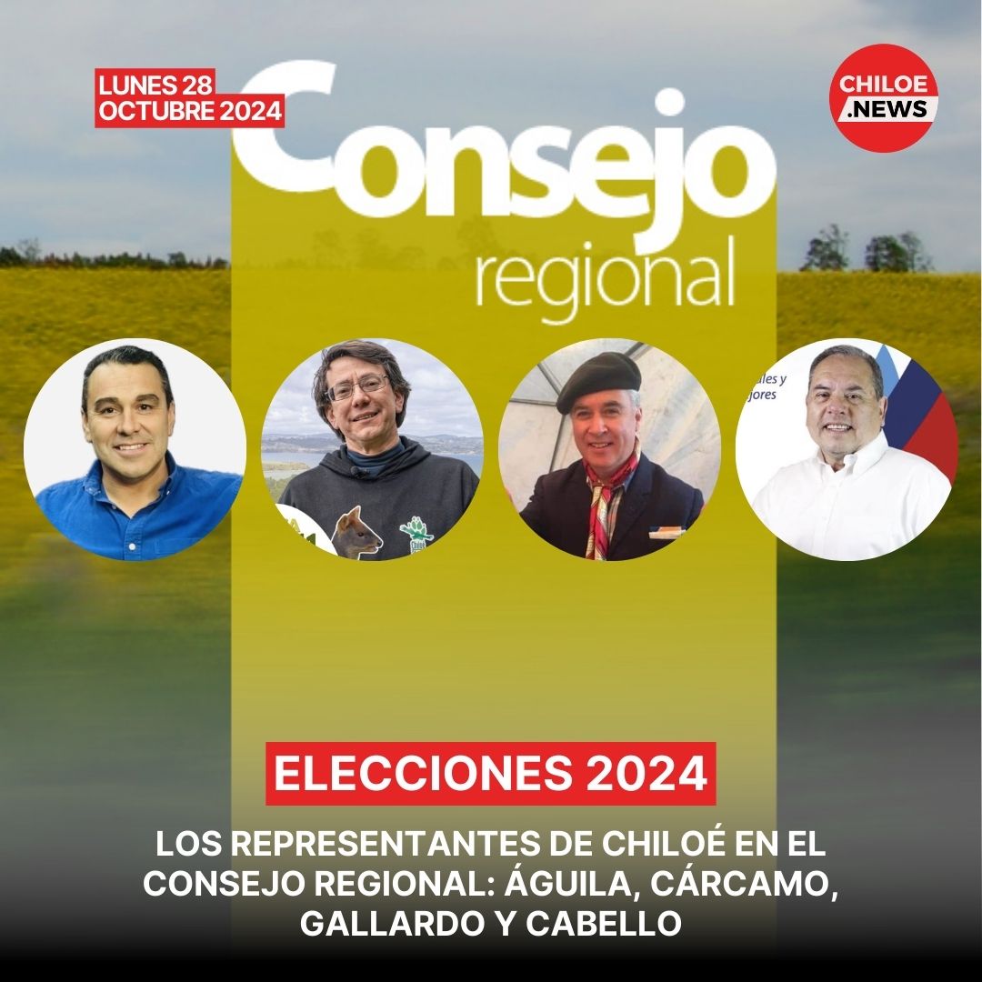 Lee más sobre el artículo Resultados oficiales: Chiloé eligió a sus nuevos representantes en el Consejo Regional