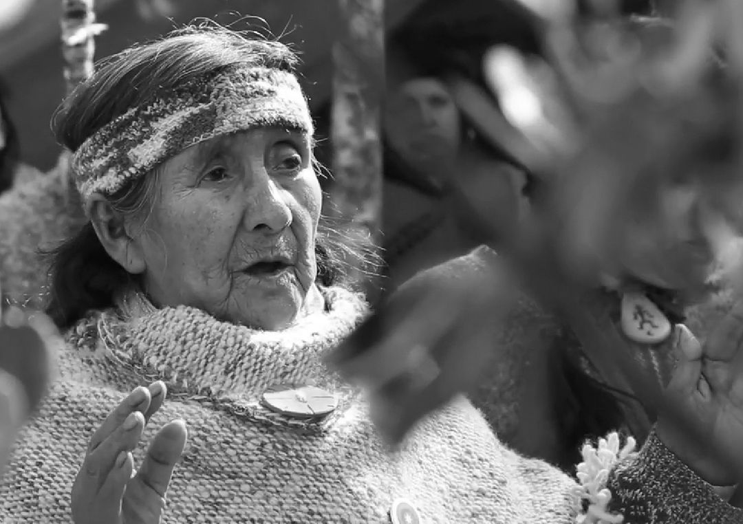 Lee más sobre el artículo Hondo pesar en Chiloé por la partida de Domitila Cuyul: el mundo cultural lamenta su partida