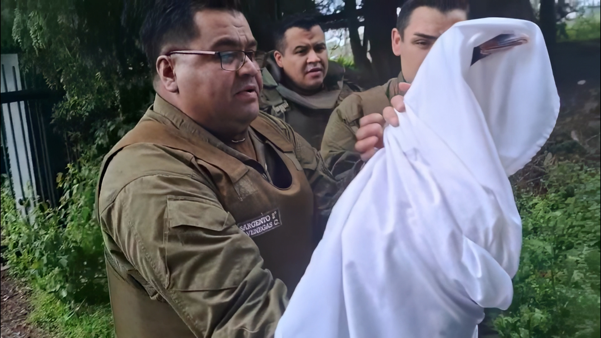 Lee más sobre el artículo Carabineros de Dalcahue rescata cisne de cuello negro herido en carretera