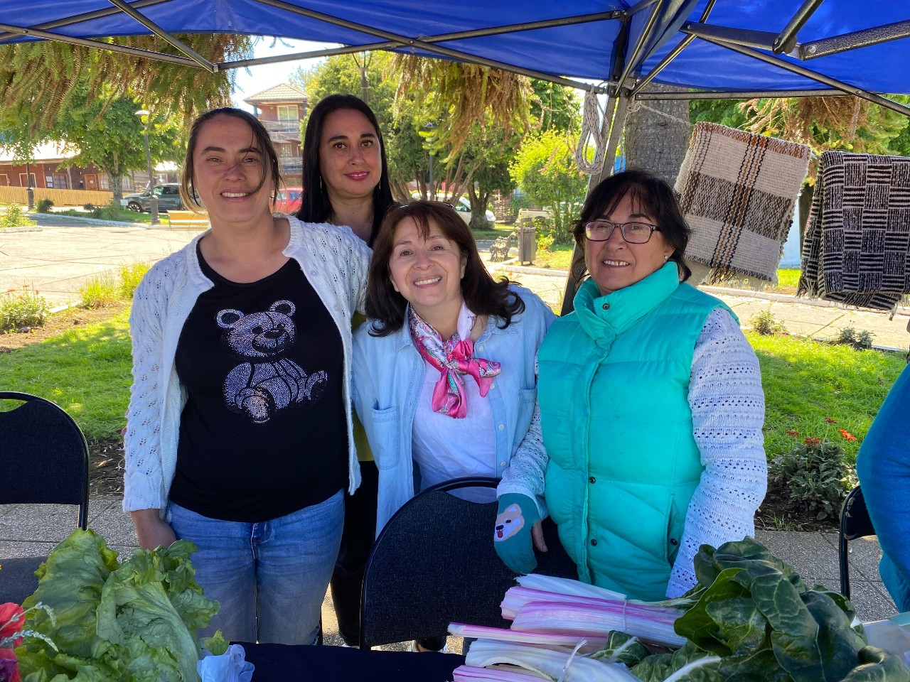 Lee más sobre el artículo Dalcahue destaca el trabajo de 356 familias rurales en exitosa Expo Prodesal