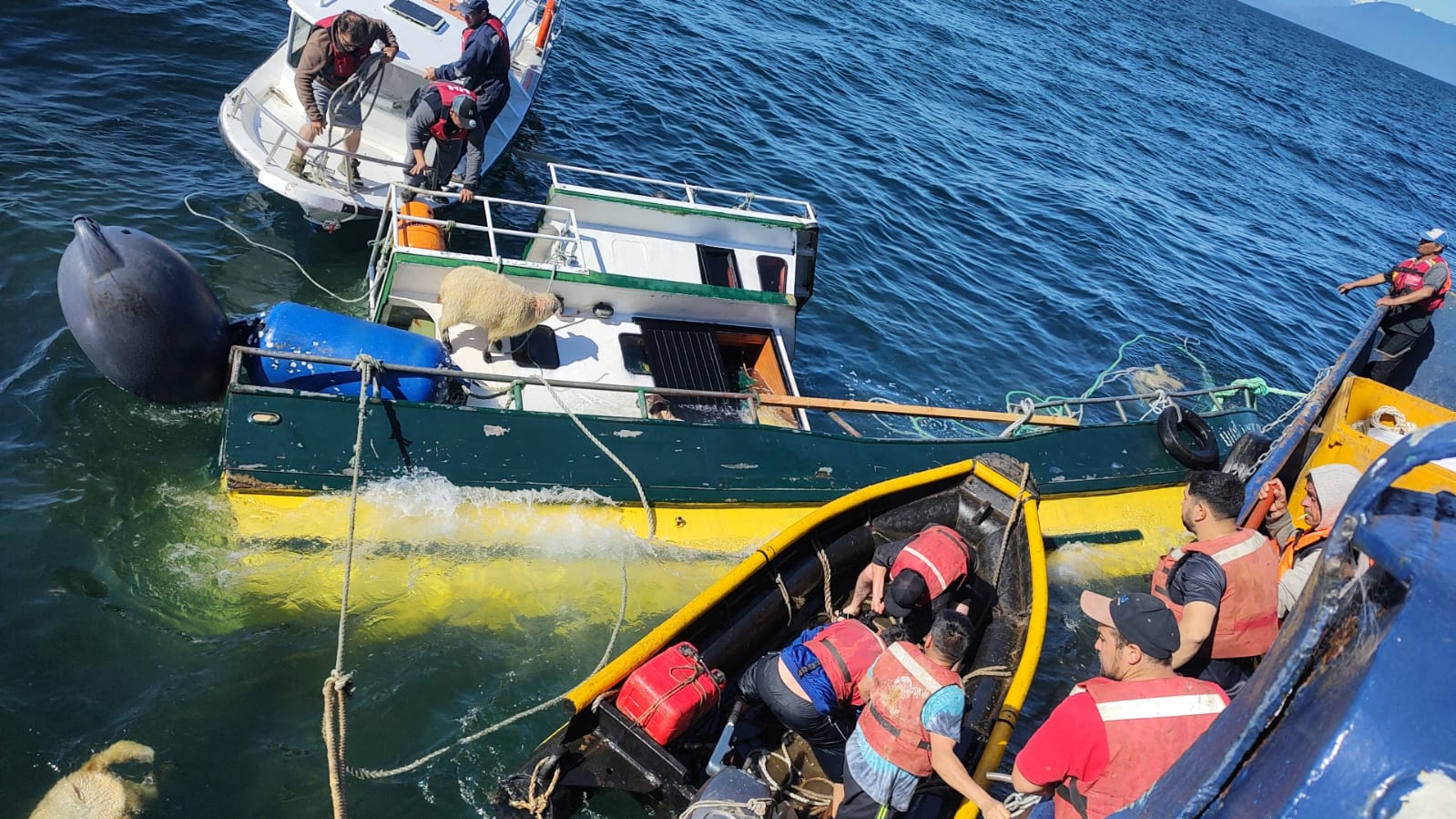 Lee más sobre el artículo Armada llama a la responsabilidad en traslados marítimos luego de siniestro de embarcación con corderos «Esa embarcación iba sin zarpe»