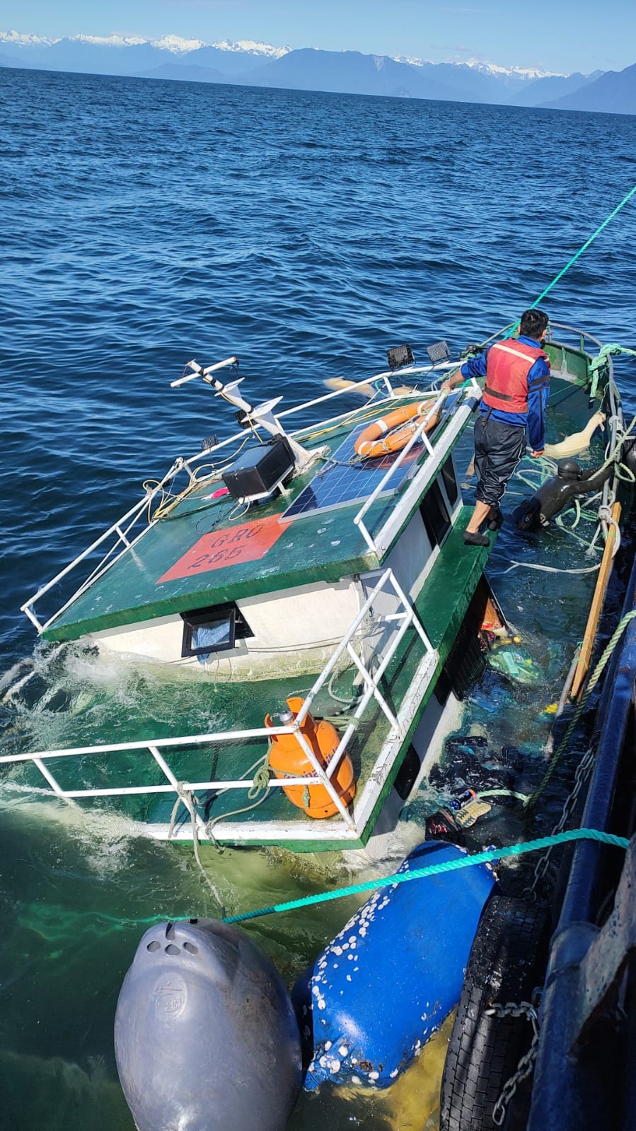 Lee más sobre el artículo Mueren decenas de corderos por semihundimiento embarcación que zarpó desde Isla Tac, Quemchi