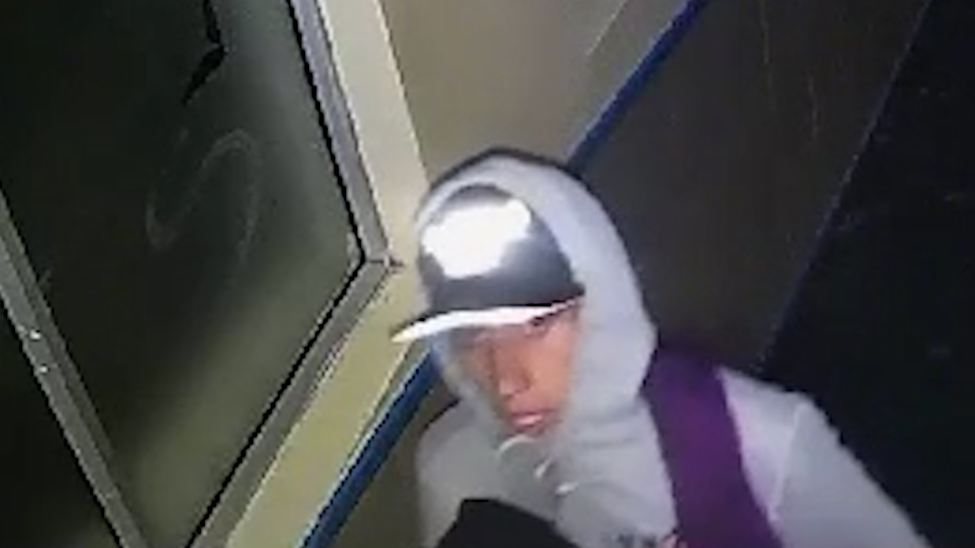 Lee más sobre el artículo Robo en liceo Galvarino Riveros de Castro: cámaras captan a jóvenes sustrayendo especies y causando daños