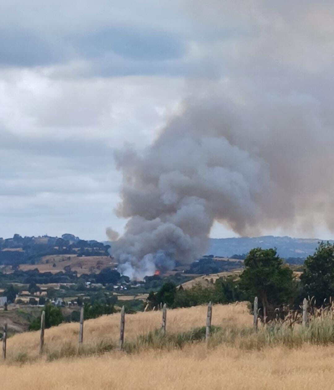 Lee más sobre el artículo Declaran Alerta Roja en Chonchi por incendio forestal en sector Quinched