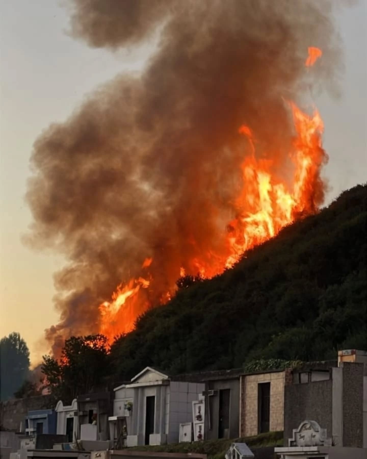 Lee más sobre el artículo Incendio forestal en Cerro Millantuy moviliza a bomberos y brigadas de CONAF