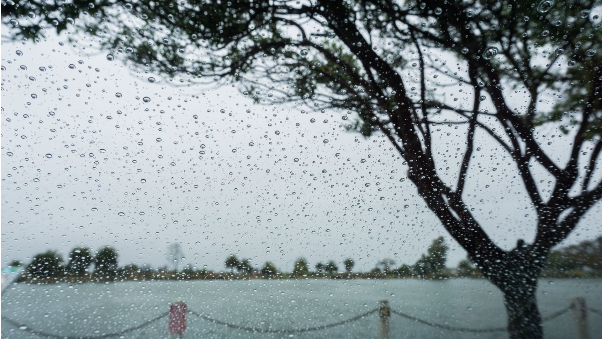 Lee más sobre el artículo Temporal en Los Lagos: Alerta se mantiene tras una noche de fuertes vientos y lluvias que dejaron una víctima fatal y múltiples daños