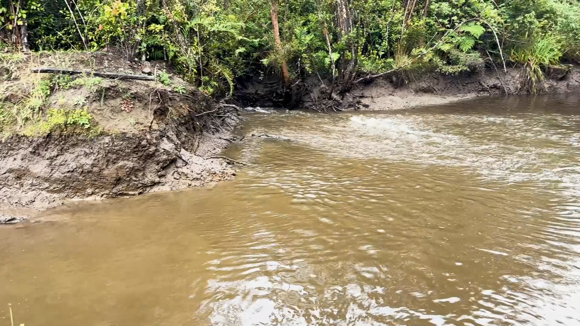 Lee más sobre el artículo Municipalidad de Castro decreta emergencia por contaminación de Agua en Gamboa Alto – Nercón – Los Aromos