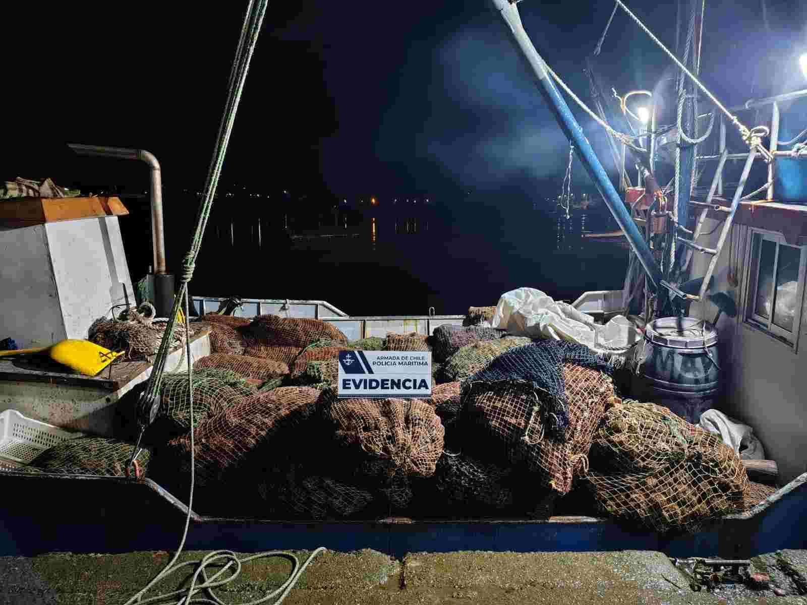 Lee más sobre el artículo Incautan más de 3.8 toneladas de erizos en Quellón por infringir normativa pesquera