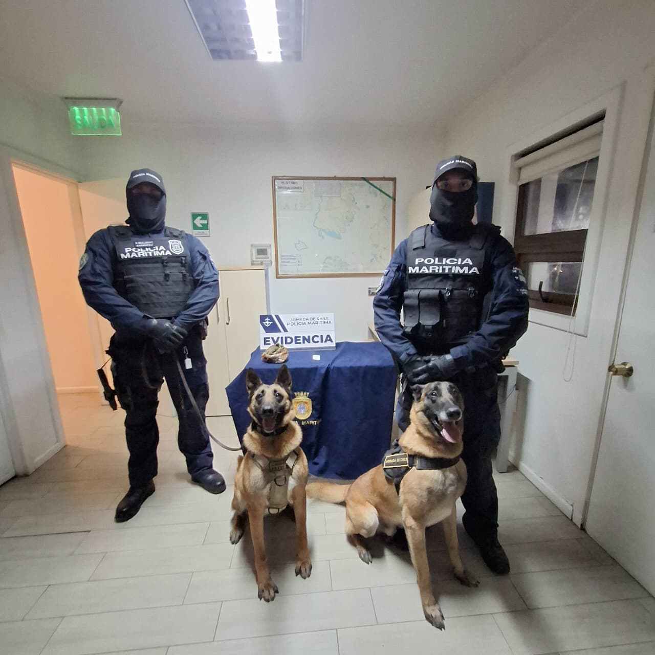 Lee más sobre el artículo Perro detector de drogas de la Armada frustra traslado de droga a Melinka