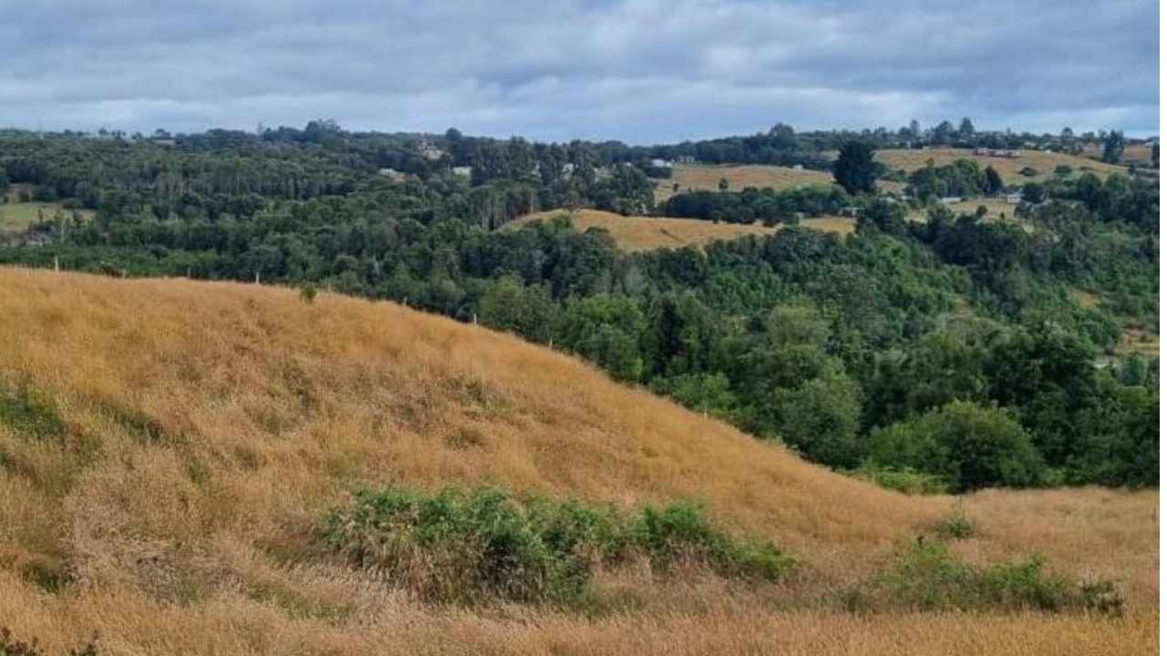 Lee más sobre el artículo Hito habitacional en Castro: El proyecto «La Chacra» recibe millonario subsidio