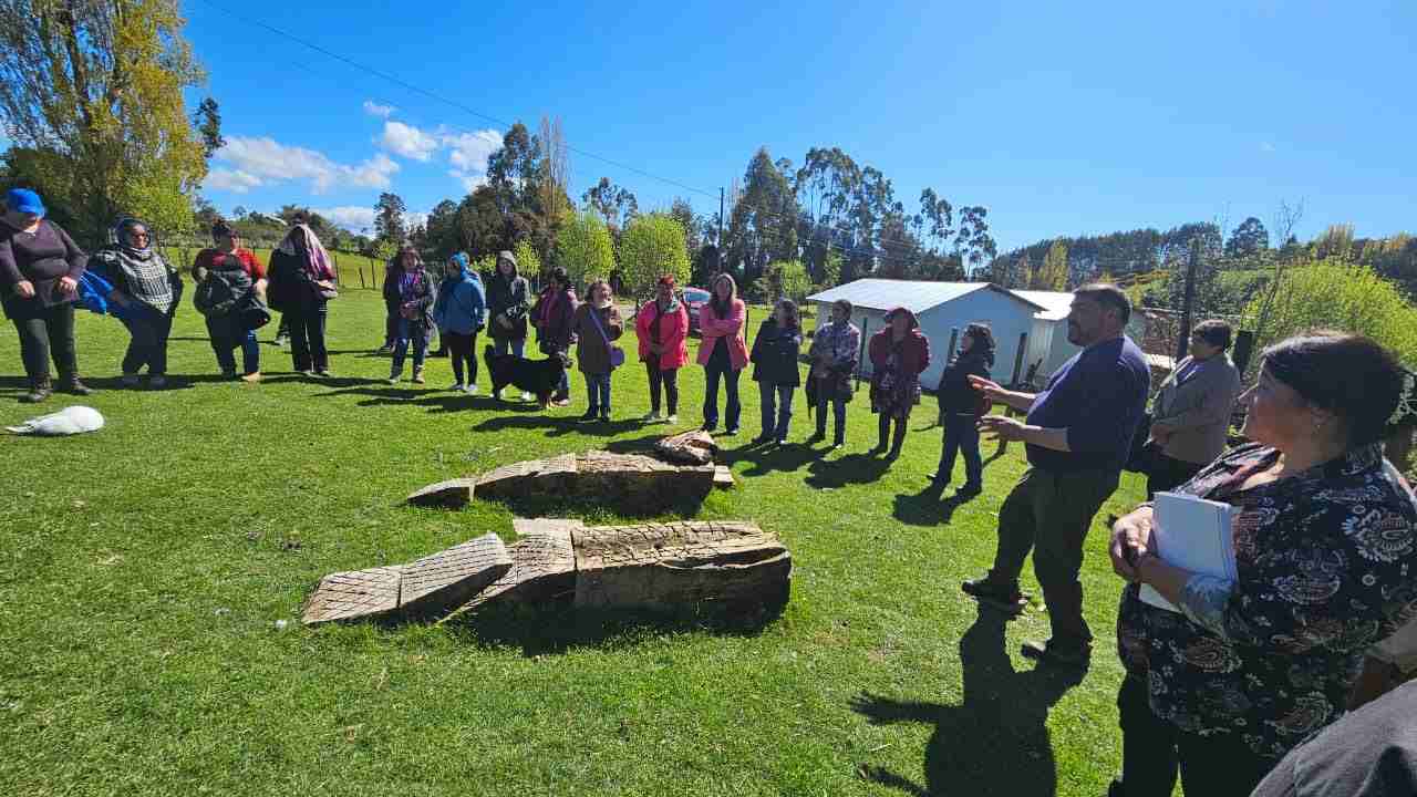 Lee más sobre el artículo Fortalecen agricultura local: Gira técnica a Lemuy capacita a productores de Queilen