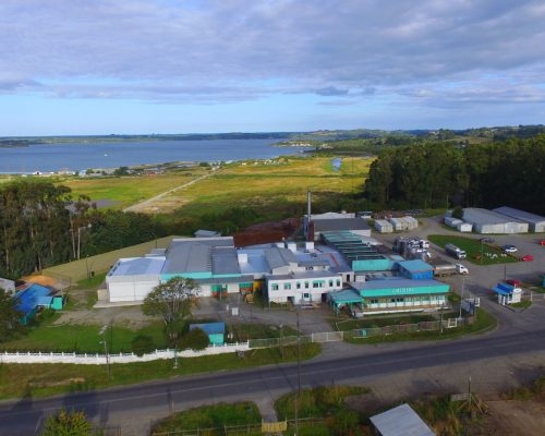 Lee más sobre el artículo Cierre de Chilolac dejaría a 130 trabajadores y decenas de productores lecheros en la incertidumbre