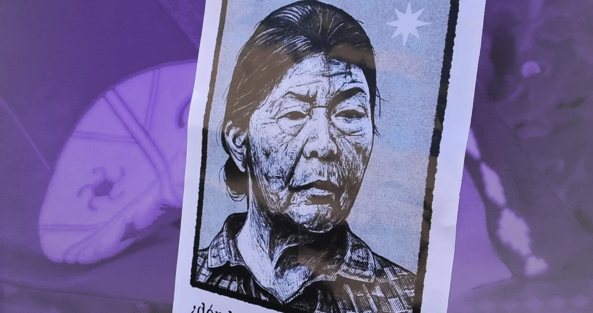 Lee más sobre el artículo Caso Julia Chuñil: Confesión de exyerno revela que sus propios hijos la asfixiaron por defender a un vecino