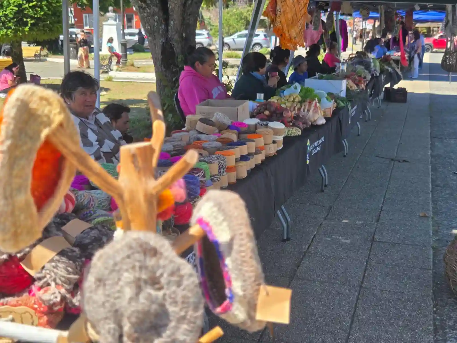 Lee más sobre el artículo Dalcahue vive un fin de semana lleno de cultura, tradiciones y encuentro comunitario