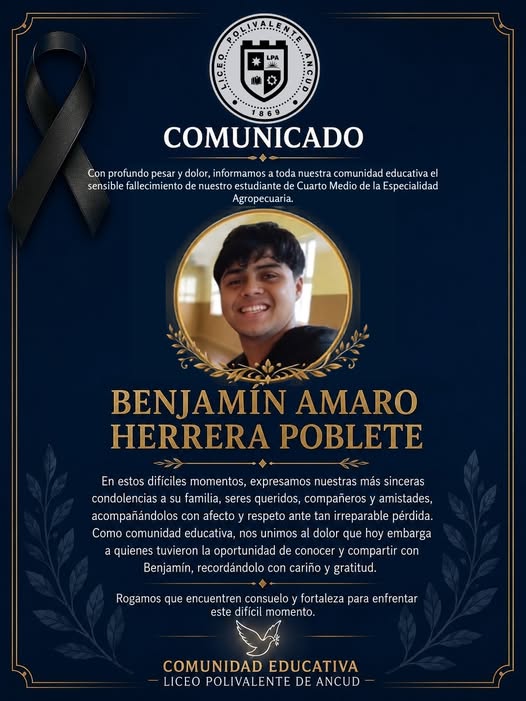 Lee más sobre el artículo Comunidad escolar de Ancud lamenta la trágica pérdida de un joven estudiante en la ruta costera