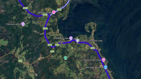 Lee más sobre el artículo Carabineros busca al propietario de un animal vacuno tras fatal accidente en Chiloé